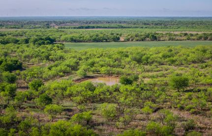 Timberland Property for sale in Young County, Texas