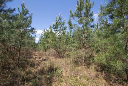 Recreational Property for sale in Washington County, Georgia