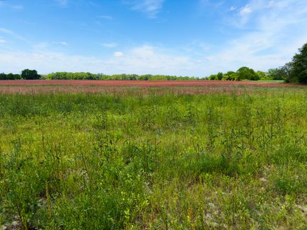 Farm and Ranch for sale in Marlboro County, South Carolina