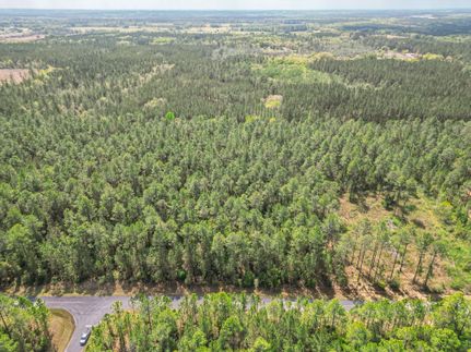 Undeveloped Land for sale in Washington County, Florida