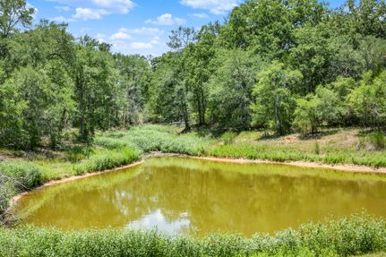 Farm and Ranch for sale in Bastrop County, Texas
