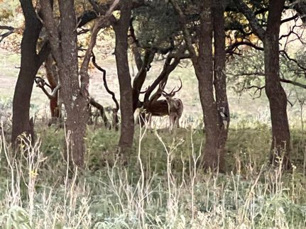 Timberland Property for sale in Edwards County, Texas
