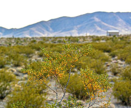 Farm and Ranch for sale in Mohave County, Arizona