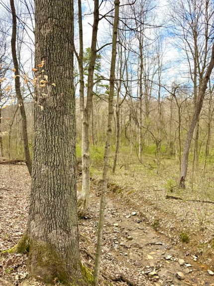 Land for sale in Ross County, Ohio