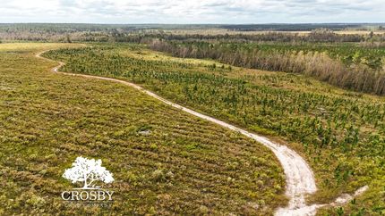 Recreational Property for sale in Wheeler County, Georgia