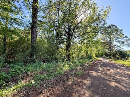 Timberland Property for sale in Sabine County, Texas