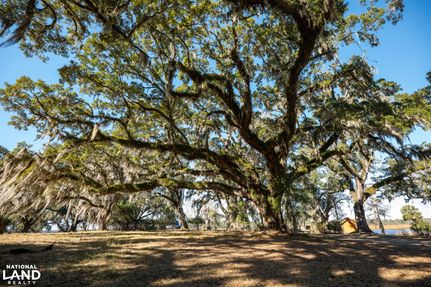 Riverfront Property in Georgetown County, South Carolina