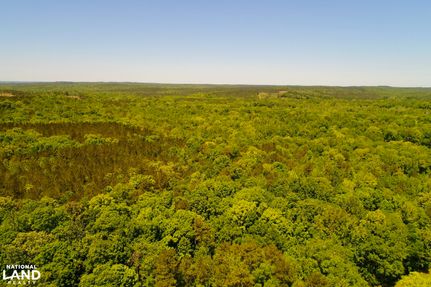 Farm and Ranch in Marengo County, Alabama