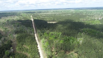 Farm and Ranch for sale in Beauregard Parish, Louisiana