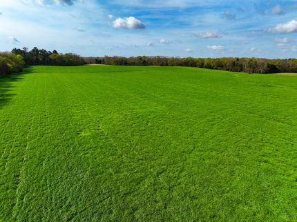 Farm and Ranch for sale in Calloway County, Kentucky