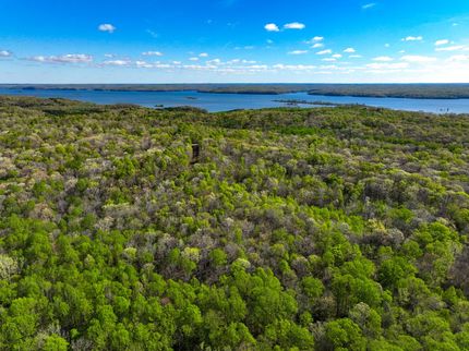 Hunting Property for sale in Calloway County, Kentucky