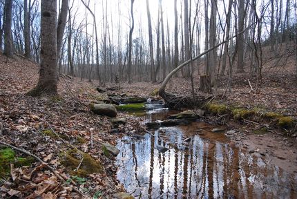 Timberland Property for sale in Morgan County, West Virginia