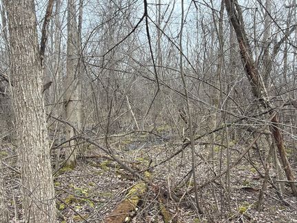 Land for sale in Lorain County, Ohio