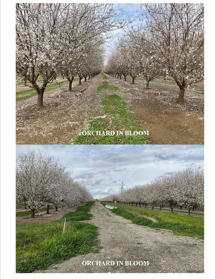 Commercial Property for sale in Yolo County, California