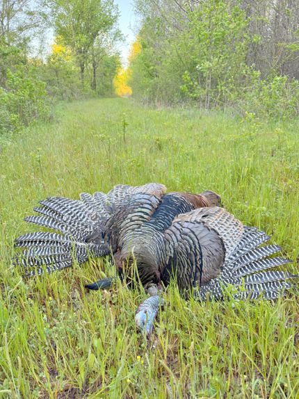 Farm and Ranch for sale in Panola County, Mississippi
