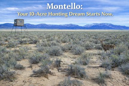 Farm and Ranch for sale in Elko County, Nevada