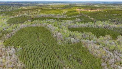 Farm and Ranch for sale in Clay County, Georgia