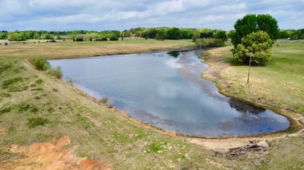 Land for sale in Titus County, Texas