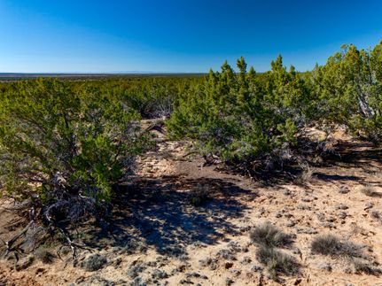 Undeveloped Land in Apache County, Arizona