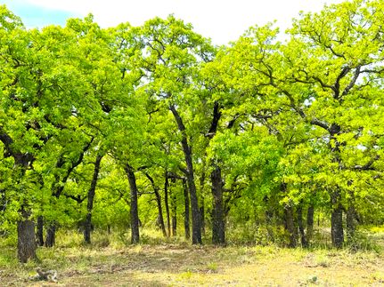 Farm and Ranch for sale in Parker County, Texas