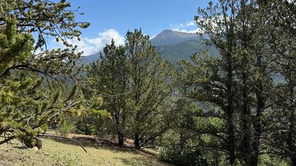 Farm and Ranch for sale in Teller County, Colorado