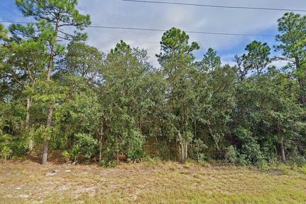 Undeveloped Land for sale in Levy County, Florida