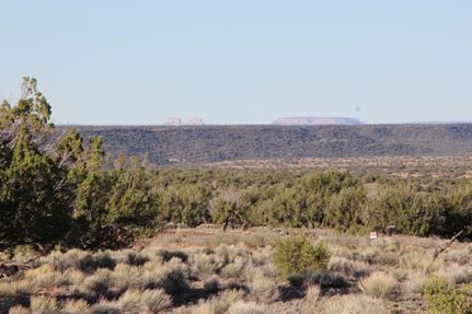 Farm and Ranch for sale in Apache County, Arizona