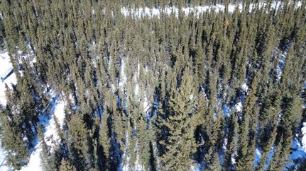 Farm and Ranch for sale in Fairbanks North Star Borough, Alaska