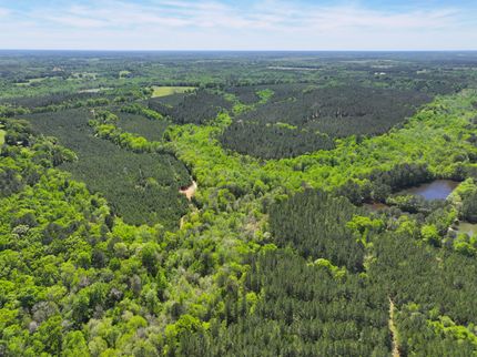 Land for sale in Coffee County, Alabama