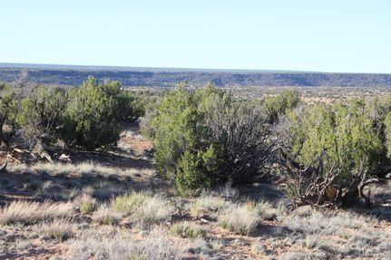 Farm and Ranch for sale in Apache County, Arizona