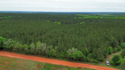 Farm and Ranch for sale in Randolph County, Georgia