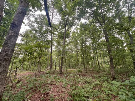 Land for sale in Shannon County, Missouri