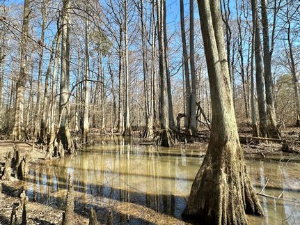 Land for sale in Leake County, Mississippi