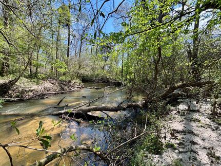 Land for sale in Covington County, Mississippi