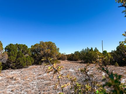 Undeveloped Land for sale in Apache County, Arizona