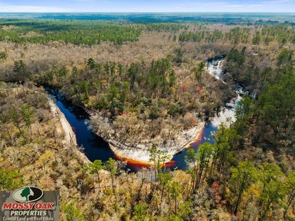 Commercial Property in Echols County, Georgia