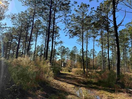 Farm and Ranch in Martin County, North Carolina