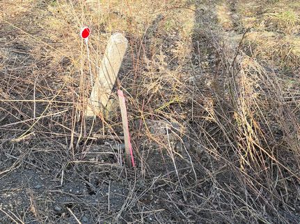 Undeveloped Land for sale in Cortland County, New York