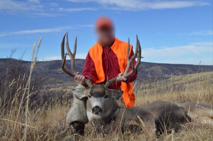 Undeveloped Land for sale in Moffat County, Colorado
