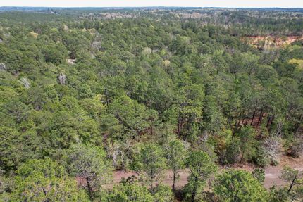 Undeveloped Land in Jasper County, Texas