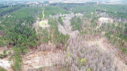 Farm and Ranch for sale in Winston County, Alabama