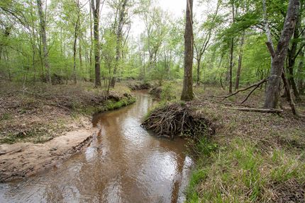 Recreational Property for sale in Washington County, Georgia