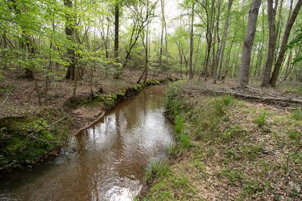 Farm and Ranch for sale in Washington County, Georgia