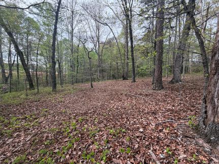 Recreational Property for sale in Banks County, Georgia