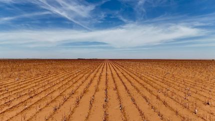 Farm and Ranch in Dawson County, Texas
