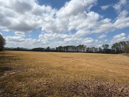Farm and Ranch for sale in Crockett County, Tennessee