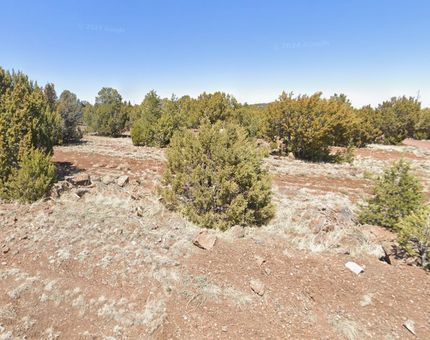 Farm and Ranch for sale in Apache County, Arizona