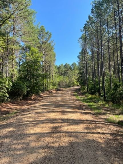 Farm and Ranch for sale in Benton County, Mississippi