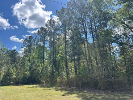 Farm and Ranch for sale in Georgetown County, South Carolina
