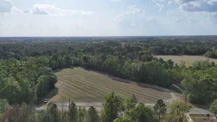 Timberland Property for sale in Appling County, Georgia